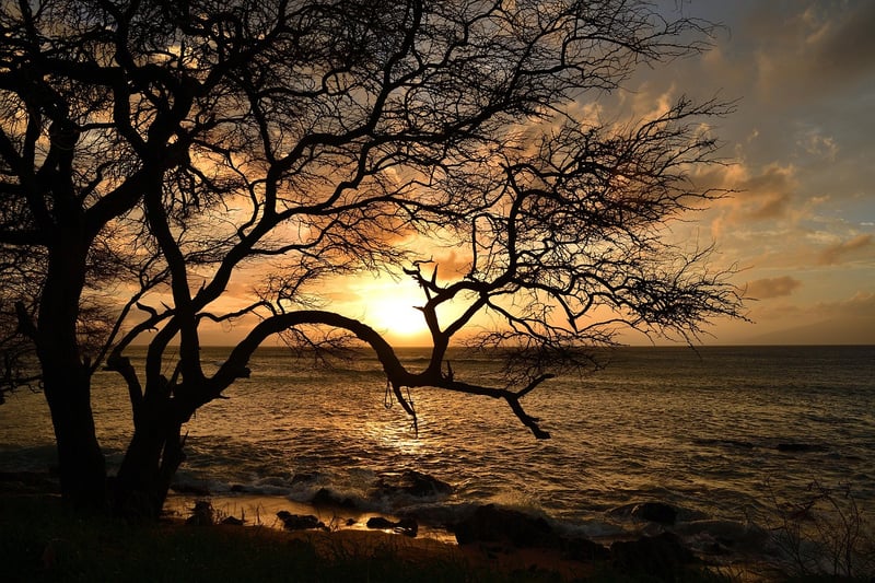 Maui Beach